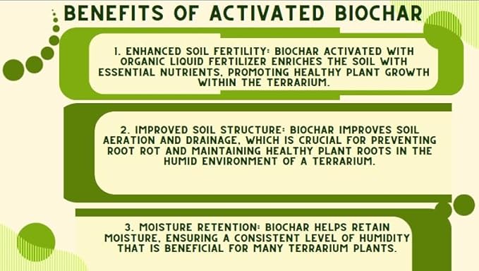 Generic Horlticural Activated Charcoal for Plants, 4 Quarts, Indoor and Outdoor, Charcoal for Terrariums, Conditioning for Bonsai Soil and Catus Soil, Black, NWS-4q-ABC