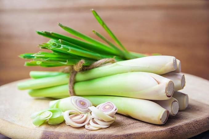 Seeds Lemongrass - Cymbopogon - Heirloom Herb - GMO Free