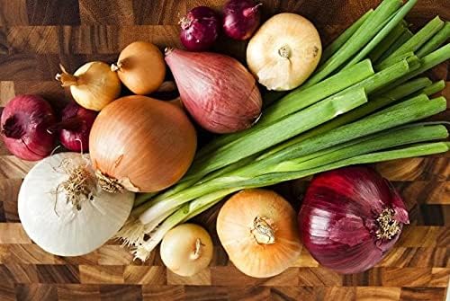 CEMEHA SEEDS - Seeds Onion Mix Non GMO Vegetable for Planting