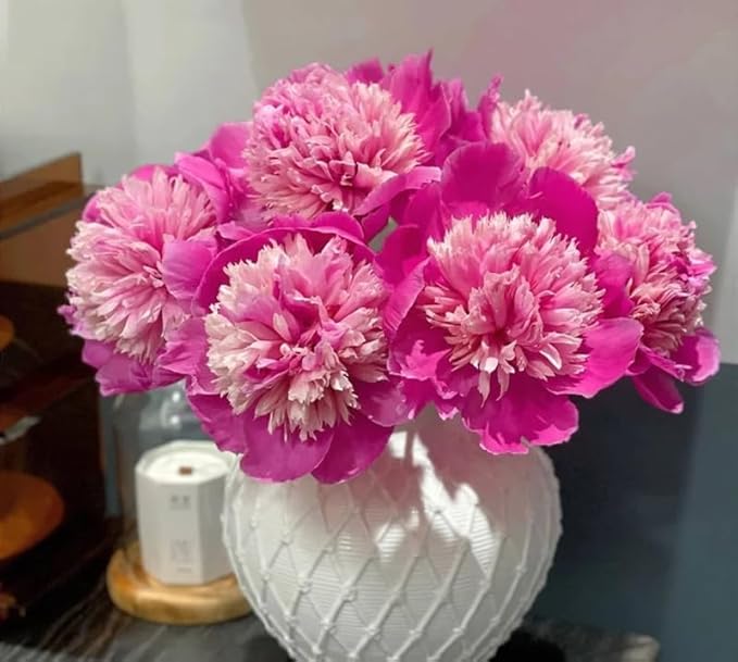 15+ Exotic Rare Peony Seeds Mixed Flowers Seed Garden Planting