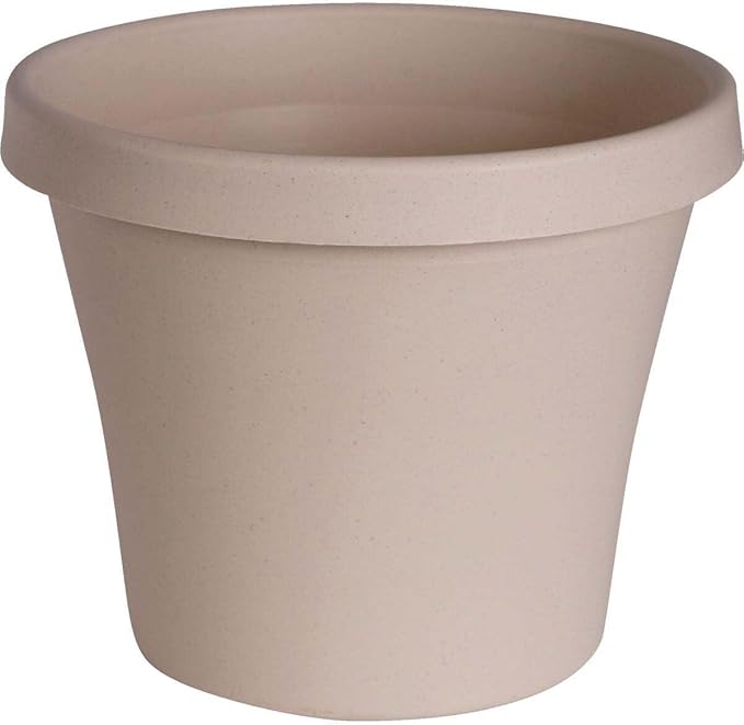 Bloem Terra 6" Diameter Round Pebble Stone Resin Planter Pot with Drainage Holes for Indoor and Outdoor Gardening