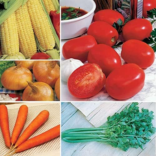 Park Seed Ultimate Vegetable Soup Seed Collection – Non-GMO Heirloom Garden Kit with Onion, Carrot, Celery, Roma Tomato & Corn – Flavorful Picks for Homemade Broths & Meals, Total of 880 Seeds