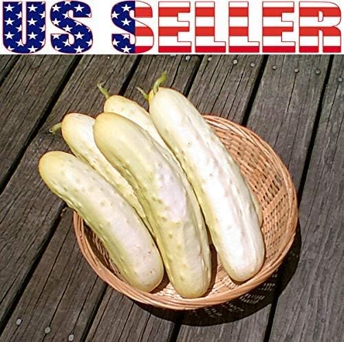 100 Cucumber Mix Seeds 12 Varieties Non-GMO Delicious and Crispy, Rare and Super Prolific, Cucumis sativus, Grown in USA