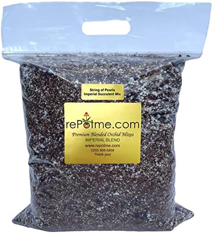Succulent Potting Soil Mix (Mini Bag (2 quarts), String of Pearls)