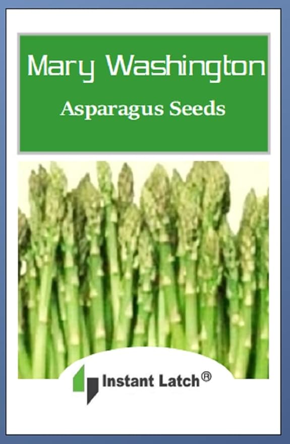 50 Mary Washington Asparagus Seeds | Non-GMO | Fresh Garden Seeds