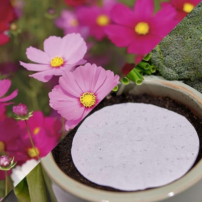 Park Seed Easy DIY Planting Sow Effortless Collection Seed Discs, Cosmos Sensation, (Set of 2)