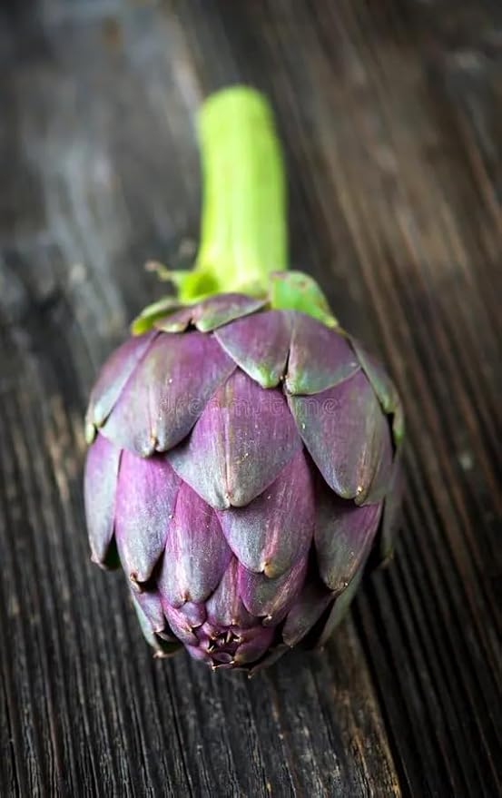 20+ Seeds Purple Artichoke Imerial Star - Vegetable Purple