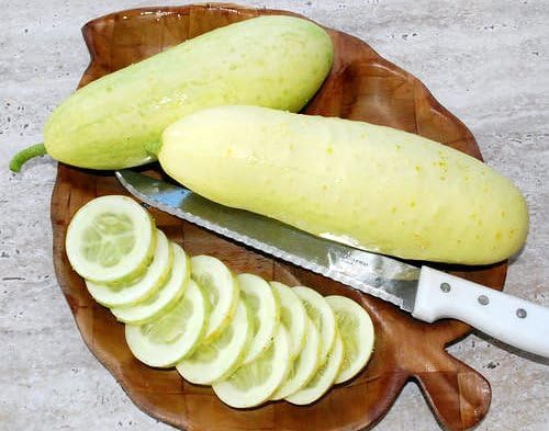 30 White Wonder Sweet Cucumber Seeds, Heirloom Non-GMO, a.k.a. Albino, Ivory King, Jack Frost, Landreths White Slicing, Cucumis sativus, from USA
