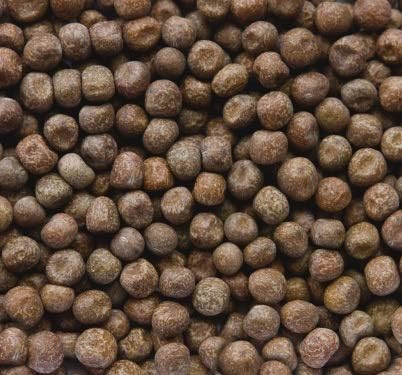 Brown Speckled Pea Sprouting Seed, Non GMO - 16 oz - Country Creek Brand - Brown Peas Sprouts, Garden Planting, Cooking, Soup, Emergency Food Storage, Vegetable Gardening, Juicing, Cover Crop
