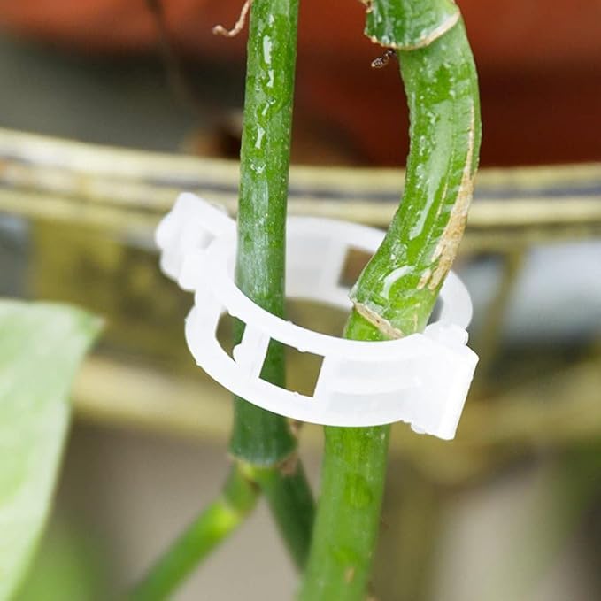 100Pcs White Plastic Trellis Clips Plant Support Clips,Tomato Clip,Cages Plants Vine Vegetable Fastening Clip Grafting Tools Make Plant Grow Upright and Healthier,Plants Support Structures