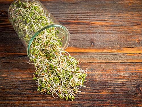 Food to Live Organic Radish Seeds for Sprouting, 8 Ounces Non-GMO, Edible Seeds, Pure, Vegan, Kosher, Bulk. Spicy, Rich in Vitamin C. High Germitation Rate. Grow Sprouts, Microgreens for Salad