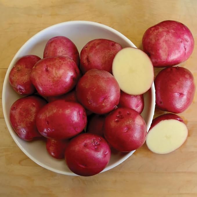 Red Potato Seeds for Planting Outdoors, 60 Seeds True Potato Seeds Easy for Growing from Seeds