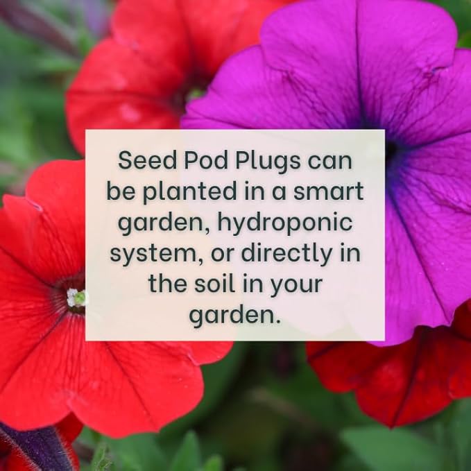 Red Petunia - Complete Seed Pod Plugs with Plant Food - 10 Pods for Hydroponic Gardens, Click and Grow, Lettuce Grow and Outdoor Gardens