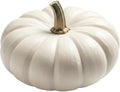 Pumpkin Seeds for Planting – 10 Exotic White Flat Stacker Seeds – Rare, Hard-to-Find Pumpkin, Squash, and Gourd Variety – Perfect for Vegetable Gardens