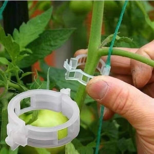 100Pcs White Plastic Trellis Clip Plants Support Clips, Tomato Clips, Plants Support Structures, Cages Plants Vine Vegetable Fastening Clip Grafting Tools Make Plants Grow Upright