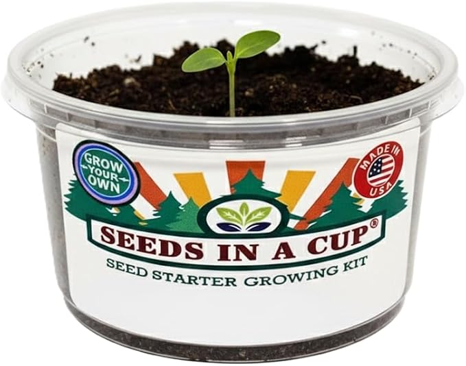 Easy Herb Grow Kit, Indoor Herbs Garden Seed Starter with Premium Seeds and Soil, Great Gift for Mom Dad Him Her Kids and You, Healthy Gift Idea Aromatic Trio: Basil Parsley Dill | Seeds In A Cup