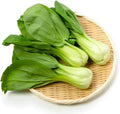 Vegetable Garden Seeds for Planting - Grow Heirloom Vegetables (Pak Choi)