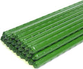 Growsun 4ft Tomato Stakes Garden Stakes Plant Cage Supports Tomato Trellis Climbing Metal w/Plastic Coated, Pack of 50