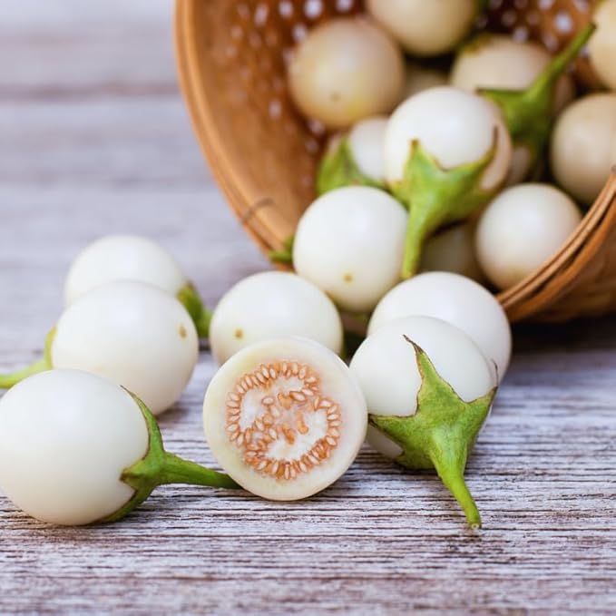 Eggplants Seeds, 100 White Eggplants Seeds for Planting Outdoor, Eggplants Vegetable Seeds