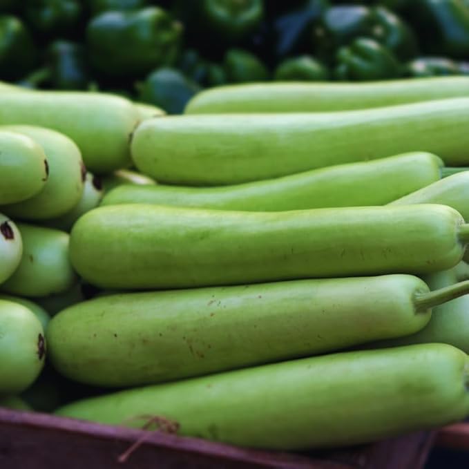 Gourd Seeds for Planting, 20 Seeds, Gourd Vegetable Seeds