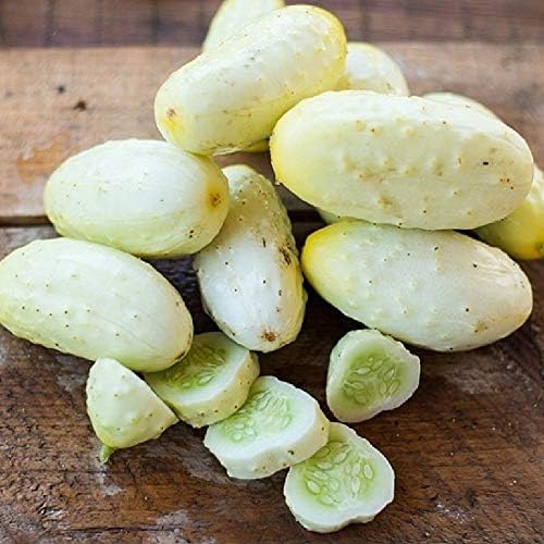 RAISE ME UP: Seeds Cucumber White Angel F1 50 Days for Pickling Indoor Non GMO Open-Pollinated Hybrid