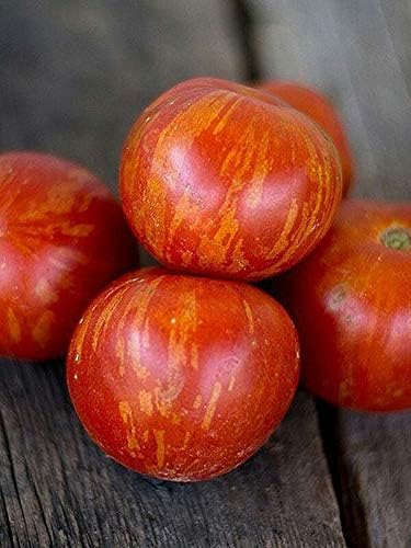 NIKA SEEDS - Seeds Vegetable Beefsteak Giant Tomato Tigerella - 50 Seeds