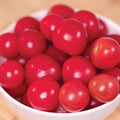Park Seed Junior Whopper Pink Hybrid Tomato Seeds – Exclusive Indeterminate Cherry Tomato with Shiny Pink Fruits, Balanced Sweet-Acid Flavor, Vigorous Vines with Heavy Yields, Pack of 15
