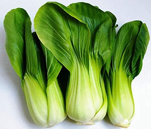 Seeds Chinese Cabbage Bok Choy Heirloom Vegetable Non GMO