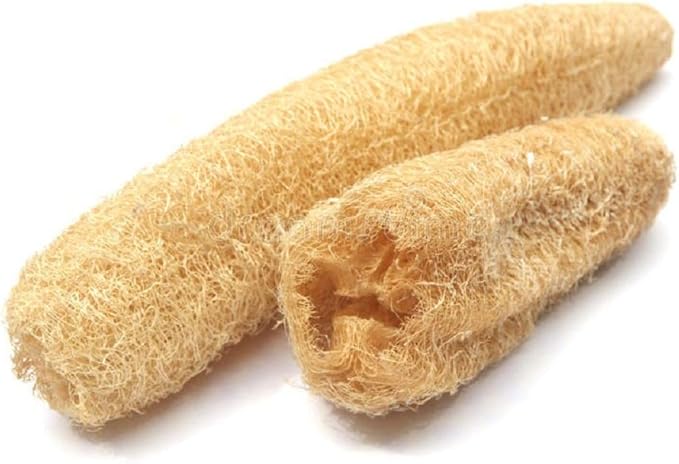 Luffa Gourd Seeds 50 Count, COOL BEANS N SPROUTS Brand. Home Gardening.