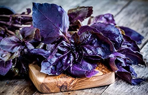 SeedsUP - 300+ Seeds Purple Basil Indoor Ornamental - Herb