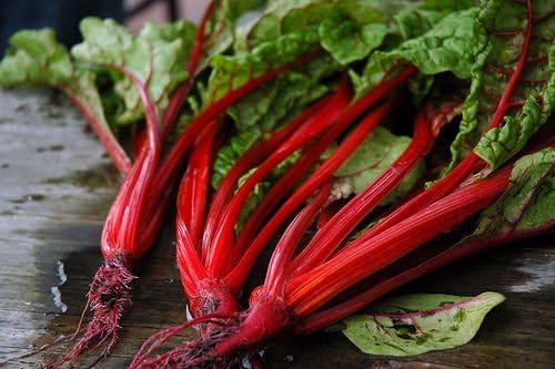 Swiss Chard Ruby Red Garden Heirloom Vegetable Seeds by Seed Kingdom (1/4 Lb Seeds)