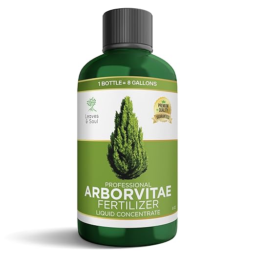 Leaves and Soul Professional Arbor Vitae Tree Fertilizer Liquid Concentrate - 6-4-6 Blend for Arbor Vitae, Garden Use - Liquid Plant Food for Arbor Vitae Trees and Shrubs Outdoors - 8oz