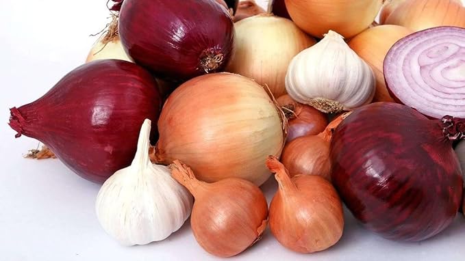 Multicolor Onion Seed Mx Allium Cepa 200+ Seeds Garden Seeds for Planting Vegetables