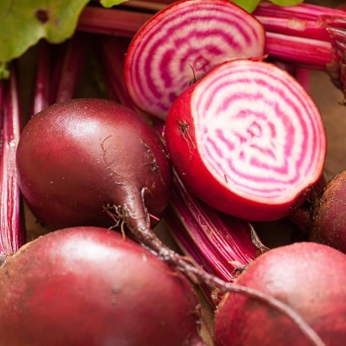 Seeds Vegetable Rare Beet Chioggia (Barbabietola di Chioggia, Bassano) Beetroot White-Pink Rings Heirloom - 100 Seeds