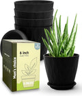 6 Inch Indoor Planter Pots with Drainage Hole and Tray Saucer,Flower Pots for Indoor Outdoor Garden Plants and Flowers, Multicolor, 5 Packs (Black)