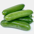 Cucumber Seeds, Muncher, Vegetable Seeds, 100% Non-GMO