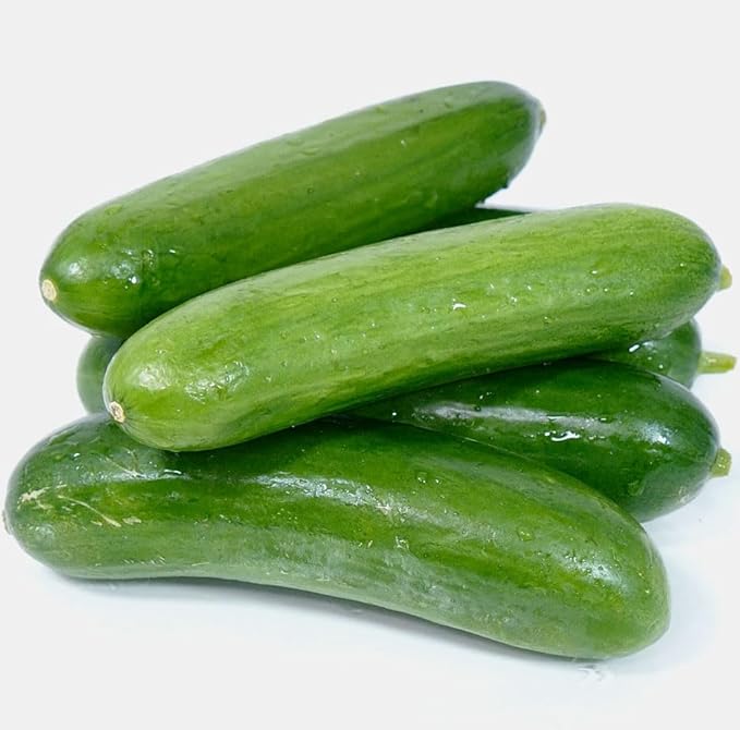 Cucumber Seeds, Muncher, Vegetable Seeds, 100% Non-GMO