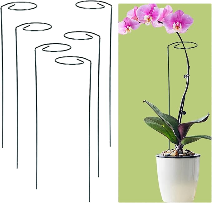 Garden Plant Support Stakes, Spiral Climbing Supports for Tomatoes, Roses, Vines, Green Metal, 6 Pack (Straight Pole Bracket)