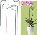 Garden Plant Support Stakes, Spiral Climbing Supports for Tomatoes, Roses, Vines, Green Metal, 6 Pack (Straight Pole Bracket)
