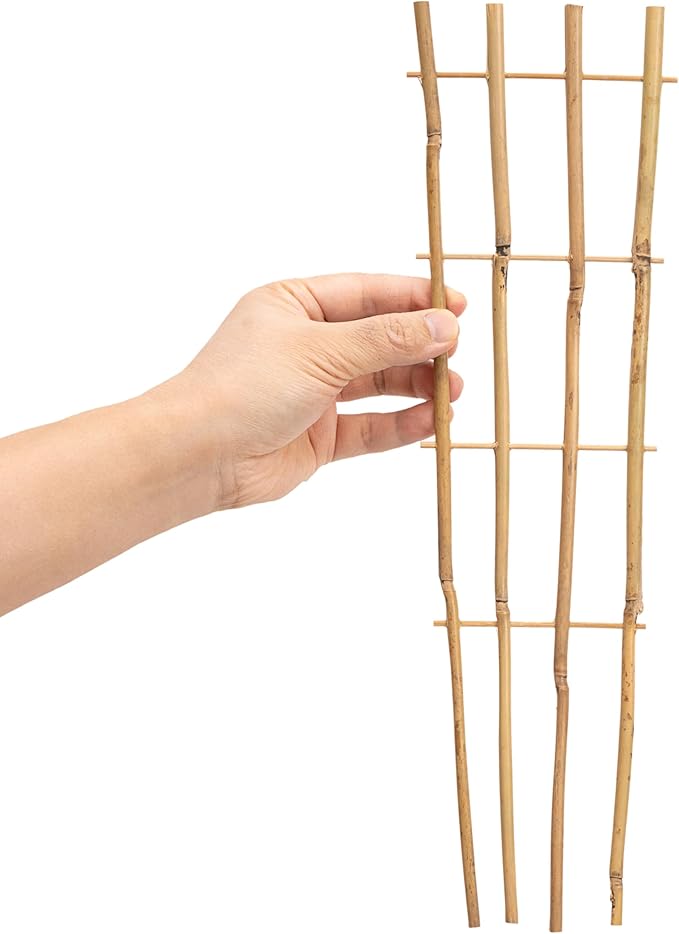 10 Pack 16" Bamboo Trellis for Climbing Plants, Fan-Shaped Natural Garden Ladder Trellis for Climbing Plants Potted Plants House Plants