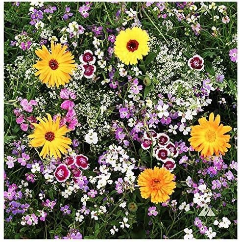 Fragrant Flowers Mix Seeds