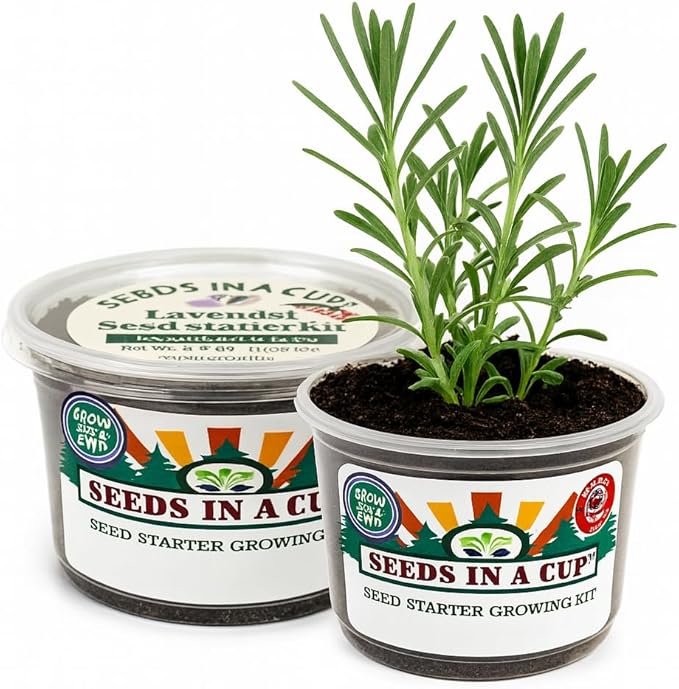 Easy Herb Grow Kit, Indoor Herbs Garden Seed Starter with Premium Seeds and Soil, Great Gift for Mom Dad Him Her Kids and You, Healthy Gift Idea Aromatic Trio: Basil Parsley Dill | Seeds In A Cup