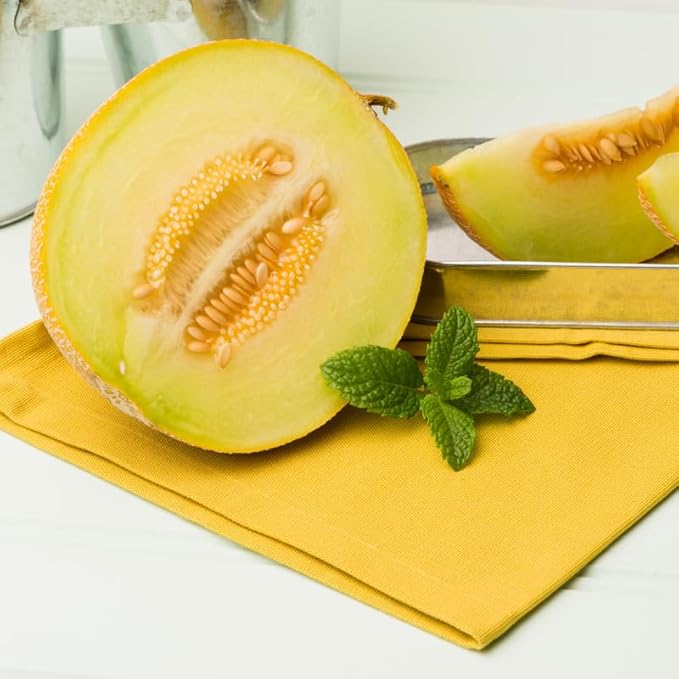 50 Golden Melon Seeds, Vegetable Seeds, Golden Melon Seeds for Planting Indoor Outdoor
