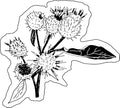 Organic Burdock Seeds (Arctium lappa) 100 Seeds (1 Grams) - Bardane, Beggar's Buttons, Edible Burdock, GOBO, Great Burdock, Greater Burdock, Lappa, Snake's Rhubarb, Thorny Burr by Smoke Camp Crafts
