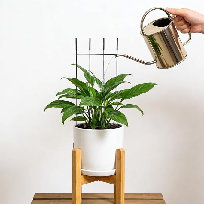 32.6inch Plant Trellis for Pot Climbing Plants Indoors & Outdoor, Garden Trellis for Potted Plants, Rust-Proof Metal Sturdy Yet Gentle Climbing Stakes Support for Ivy Pothos Hoya Monstera (2pcs)