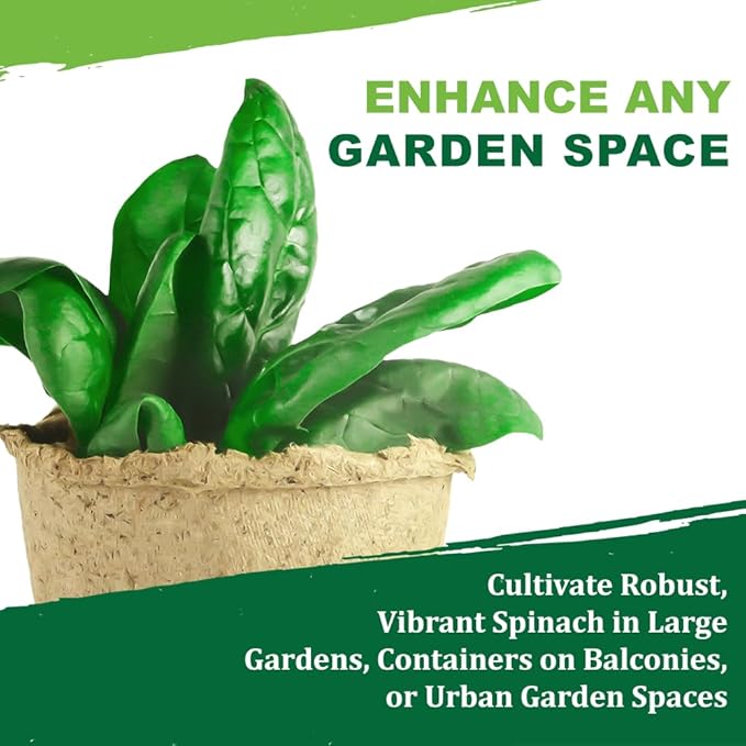 TKE Farms & Gardens - Bloomsdale Spinach Seeds for Planting, 320+ Heirloom Non-GMO Seeds, Cold-Hardy & Long Standing, Rich Flavor, Fast Growing for Spring & Fall Gardens, Indoors or Outdoors