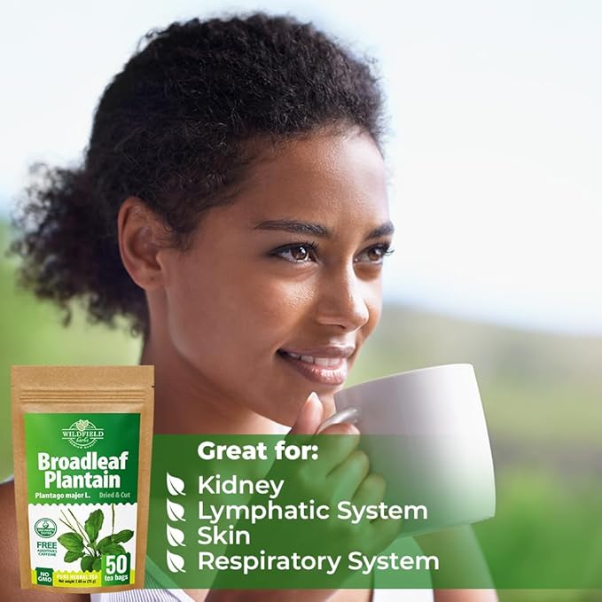 50 Bags Broadleaf Plantain Leaf Herb Tea (Plantago Majoris Folia) Plantain Leaves Tea - 50 Count 1.5 g Bags Llanten