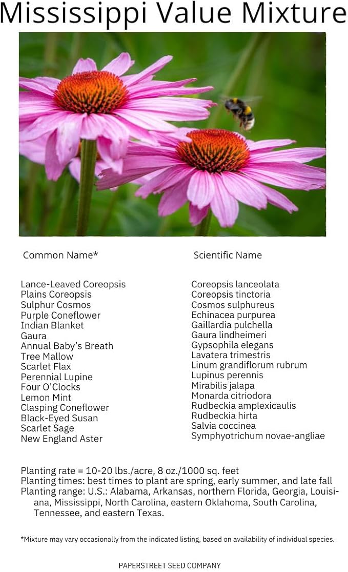 Mississippi Bulk Perennial Wildflower Seed Mix 1lb Covers 2,000sq-ft - Attract Pollinators, Multi-Color Blooms - Southeast US Species Plant in Spring/Fall, Earth-Friendly Packaging (1/4 Pound)