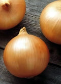 Onion Candy Hybrid Great Vegetable by Seed Kingdom 40 Seeds