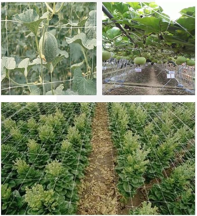 generic Trellis Netting5 x 15FT, 5 x 30FT,Polyester Plant Trellis Netting, Square Mesh Net for Climbing Plant, Fruits, Vegetables, Vines, Planting Auxiliary Mesh Net (5 * 30ft), white